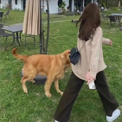 阿卡辛加：无惧之躯